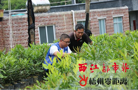 脫貧戶樂當種植技術(shù)的“傳播者”