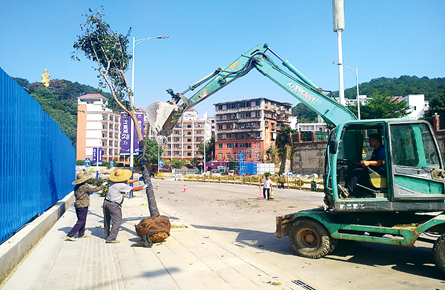 植樹(shù)種花綠化道路