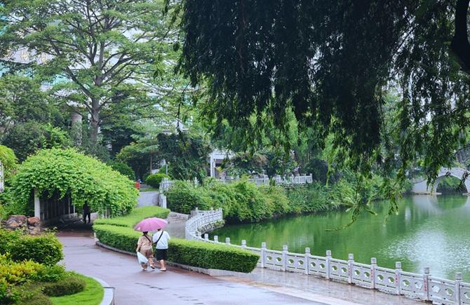 雨中公園 清新寧?kù)o