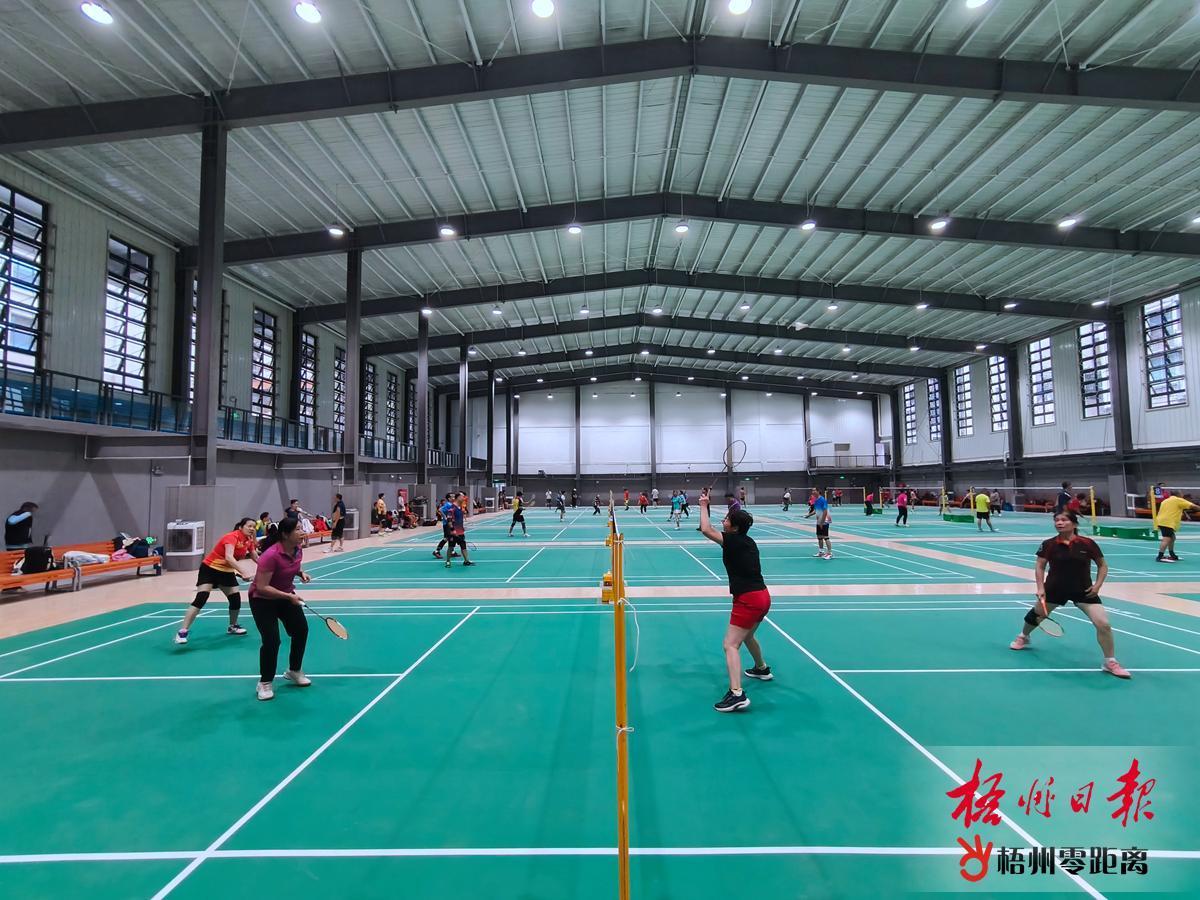 新球場開放體驗(yàn)