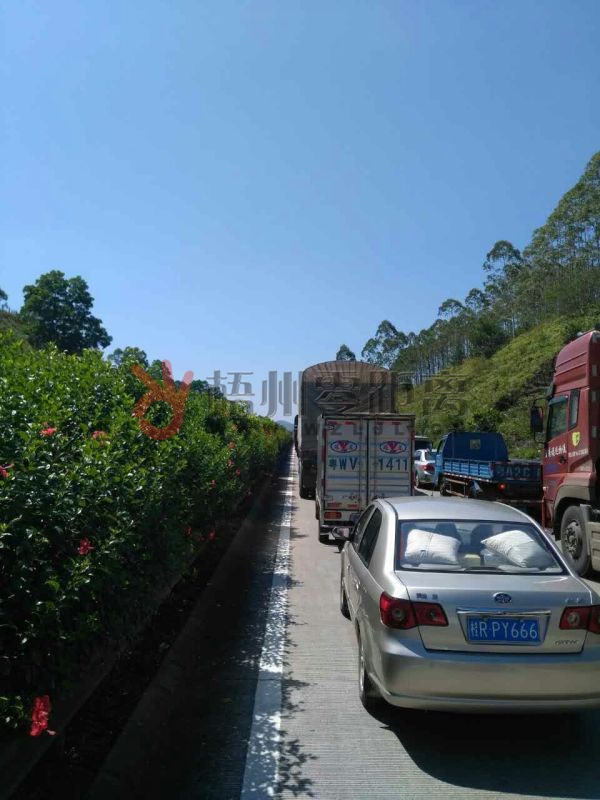 事故引起高速路上堵車。 網(wǎng)友“老-男-孩”提供
